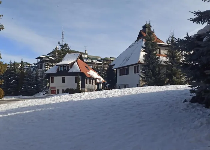 Stulovic * 兹拉蒂博尔